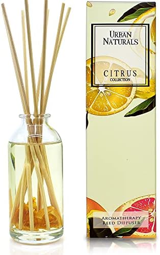 Urban Naturals Citrus Bliss Reed Diffuser with Real Orange