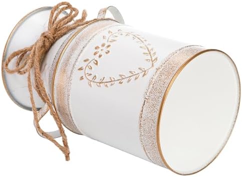 Hacaroa 2 Pack Rustic Galvanized Metal Vases with Handles