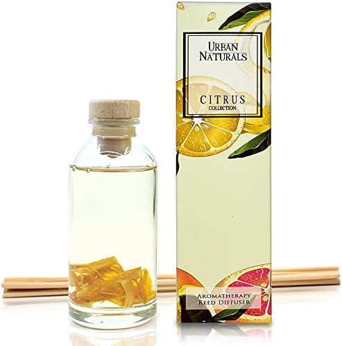 Urban Naturals Citrus Bliss Reed Diffuser with Real Orange