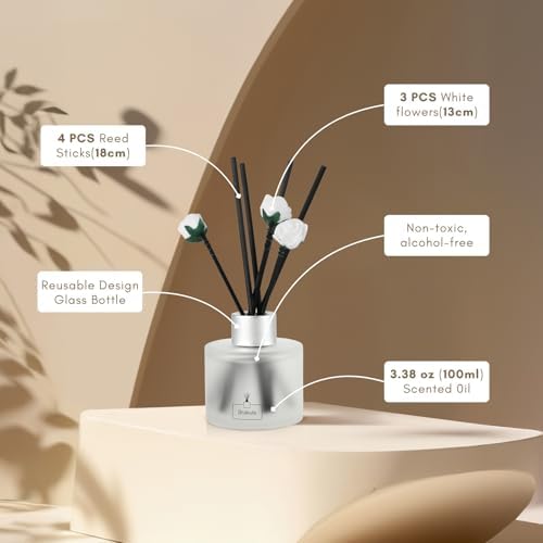 Brakula 2 Pack Reed Diffuser Set Eucalyptus Mint