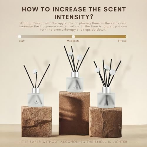 Brakula 2 Pack Reed Diffuser Set Eucalyptus Mint