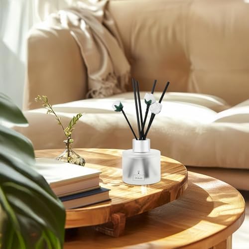 Brakula 2 Pack Reed Diffuser Set Eucalyptus Mint