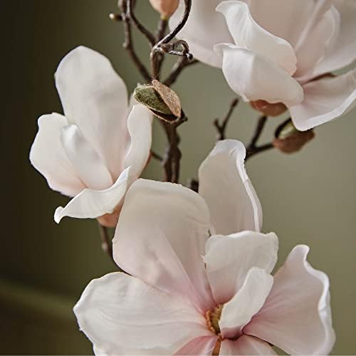 Thymes Reed Diffuser Oil - Magnolia Willow