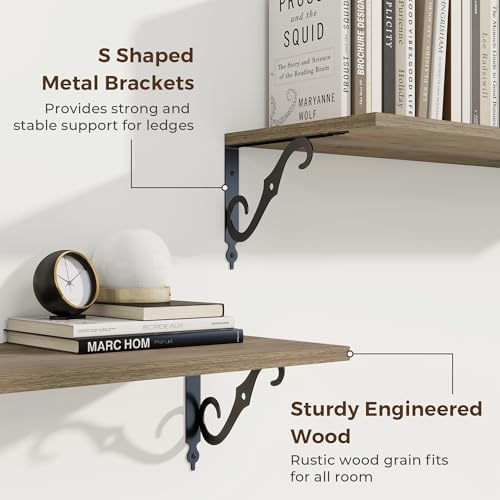 RICHFOCUS 12 Inch Deep Floating Shelves Set of 2 Grey