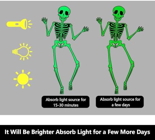 Kalefo Halloween Glow in the Dark Skeleton Decorations