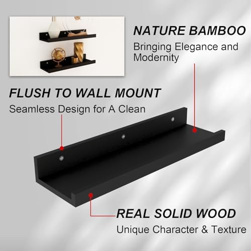 Sholramo Wall Floating Shelves Set of 2 Modern Black Storage Display