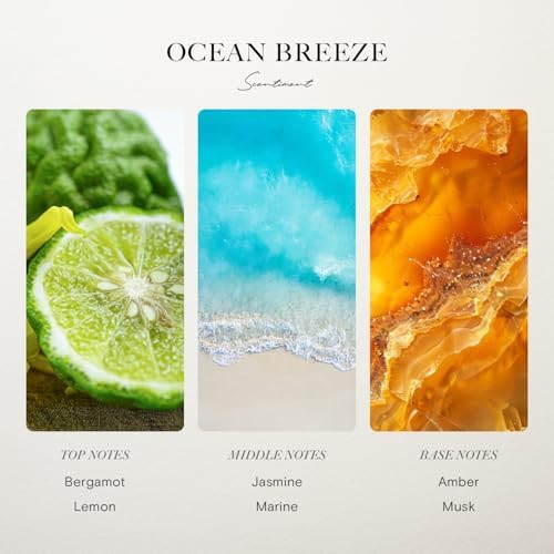 Ocean Breeze Diffuser Oil Inspired by Ritz-Carlton Luxury