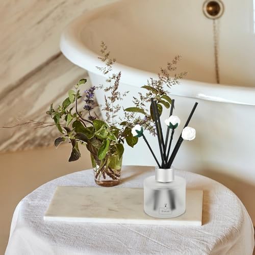 Brakula 2 Pack Reed Diffuser Set Eucalyptus Mint