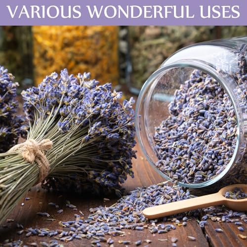 Treela Dried Lavender Buds 1 Pound for DIY and Home Fragrance