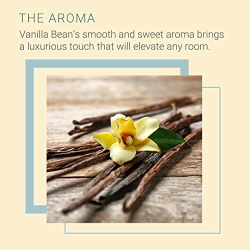 SpaRoom Reed Diffuser Oil Refill Vanilla Bean Scent