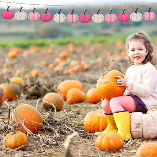 16 Pcs Pink Series Fall Pumpkin Hanging Ornaments