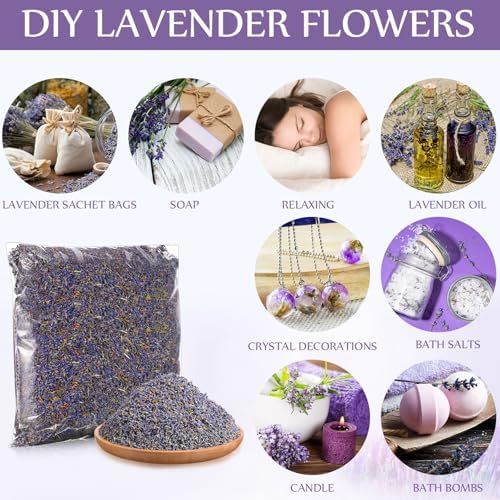 Treela Dried Lavender Buds 1 Pound for DIY and Home Fragrance