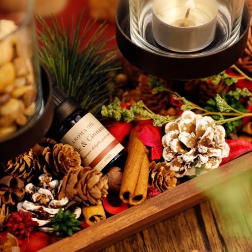 SCENTORINI Holiday Potpourri 14 oz Decorative Bag