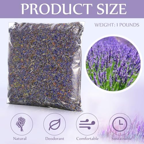 Treela Dried Lavender Buds 1 Pound for DIY and Home Fragrance