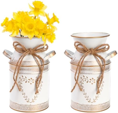 Hacaroa 2 Pack Rustic Galvanized Metal Vases with Handles