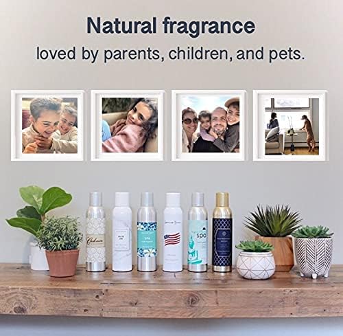 Belfair Oaks Room Fragrance Air Freshener Spray