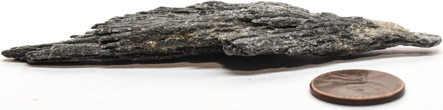 100mm Black Kyanite Feather Blades with Clear Mica Cluster - Brazil
