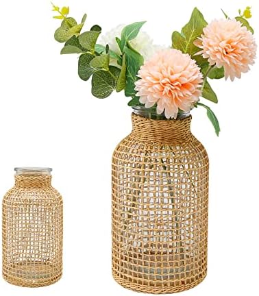 MDEOOSKY Boho Woven Glass Vase 787 Inch
