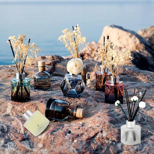 Brakula 2 Pack Reed Diffuser Set Eucalyptus Mint