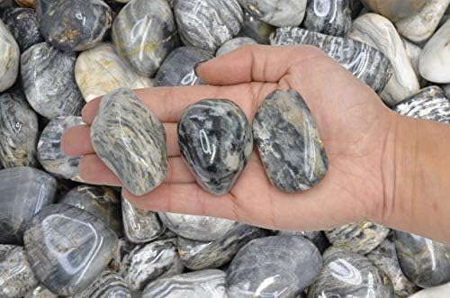 Fantasia 2 lbs Tumbled Black Cream Chert Stones for Indoor Fountain