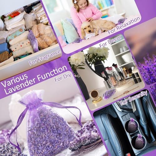 Reginary 60 Pack Lavender Sachets for Home Fragrance and Storage