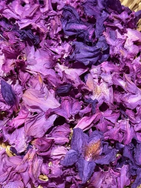 Handmade Lavender Fields Potpourri Wooden Bowl