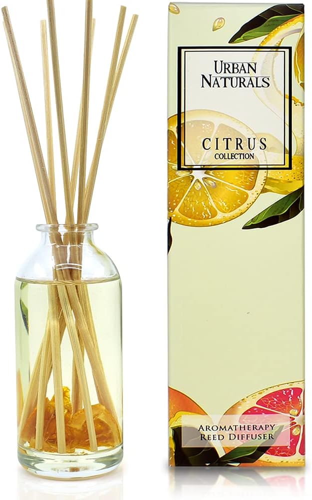 Urban Naturals Citrus Bliss Reed Diffuser with Real Orange