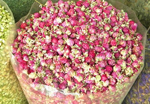 TooGet Dried Gomphrena Globosa Flowers 4 Oz Natural Globe Amaranth