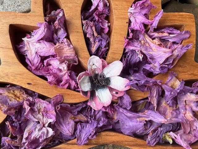 Handmade Lavender Fields Potpourri Wooden Bowl