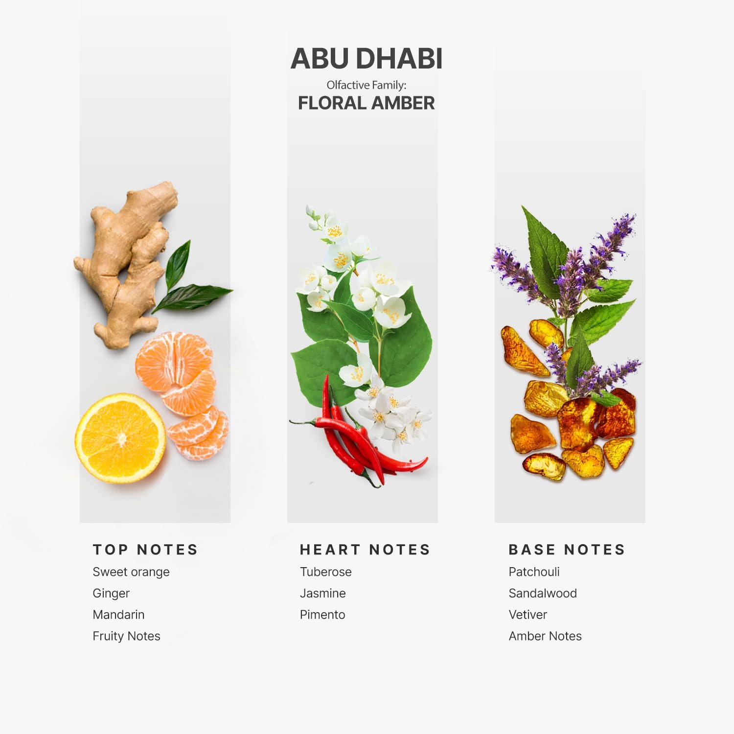 AROMAPLAN ABU DHABI FRAGRANCE OIL 5 FL OZ