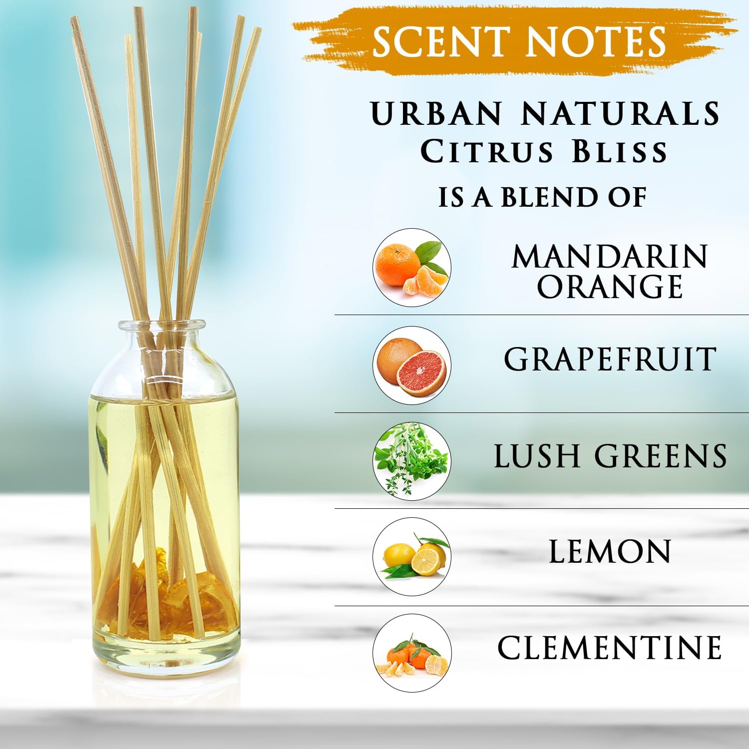 Urban Naturals Citrus Bliss Reed Diffuser with Real Orange