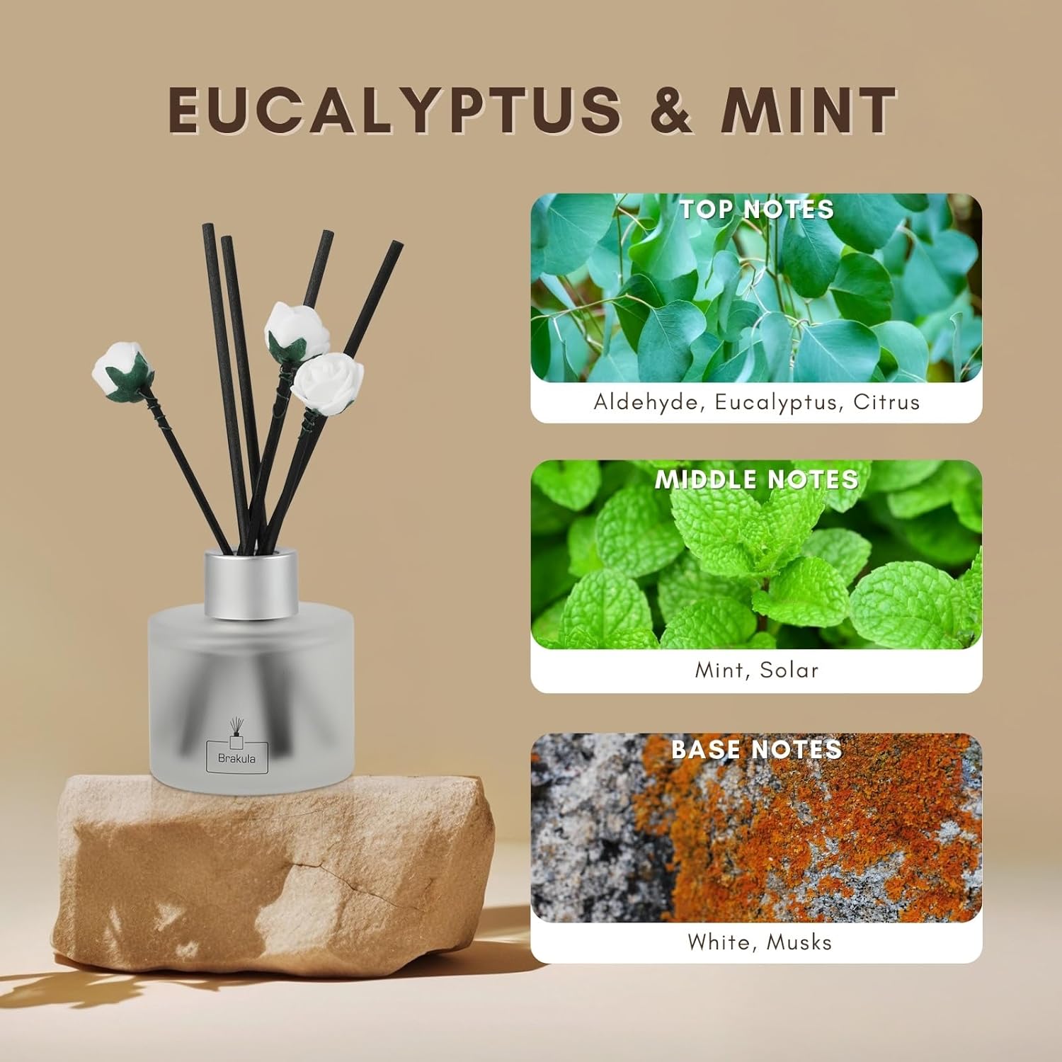 Brakula 2 Pack Reed Diffuser Set Eucalyptus Mint