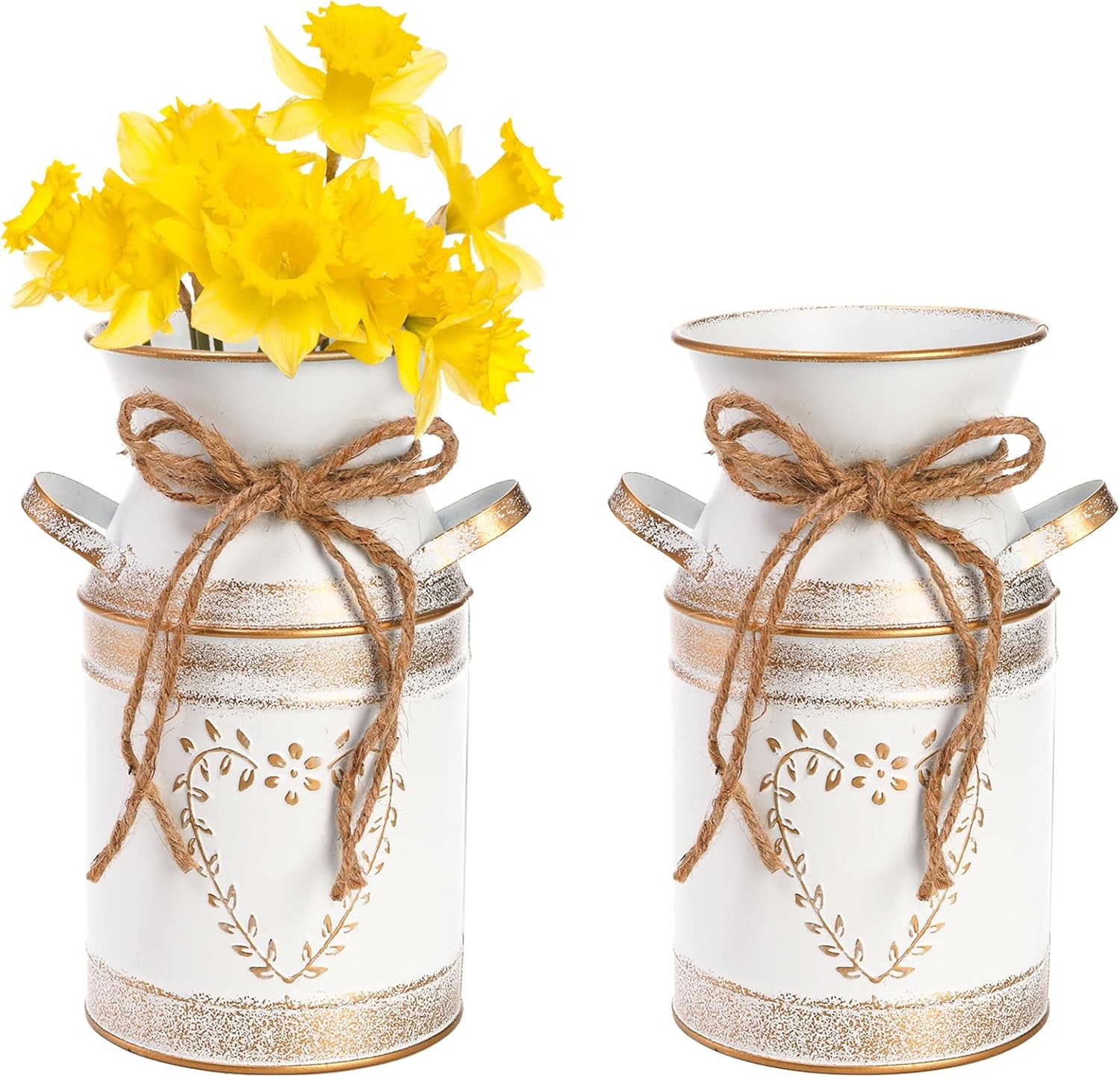 Hacaroa 2 Pack Rustic Galvanized Metal Vases with Handles
