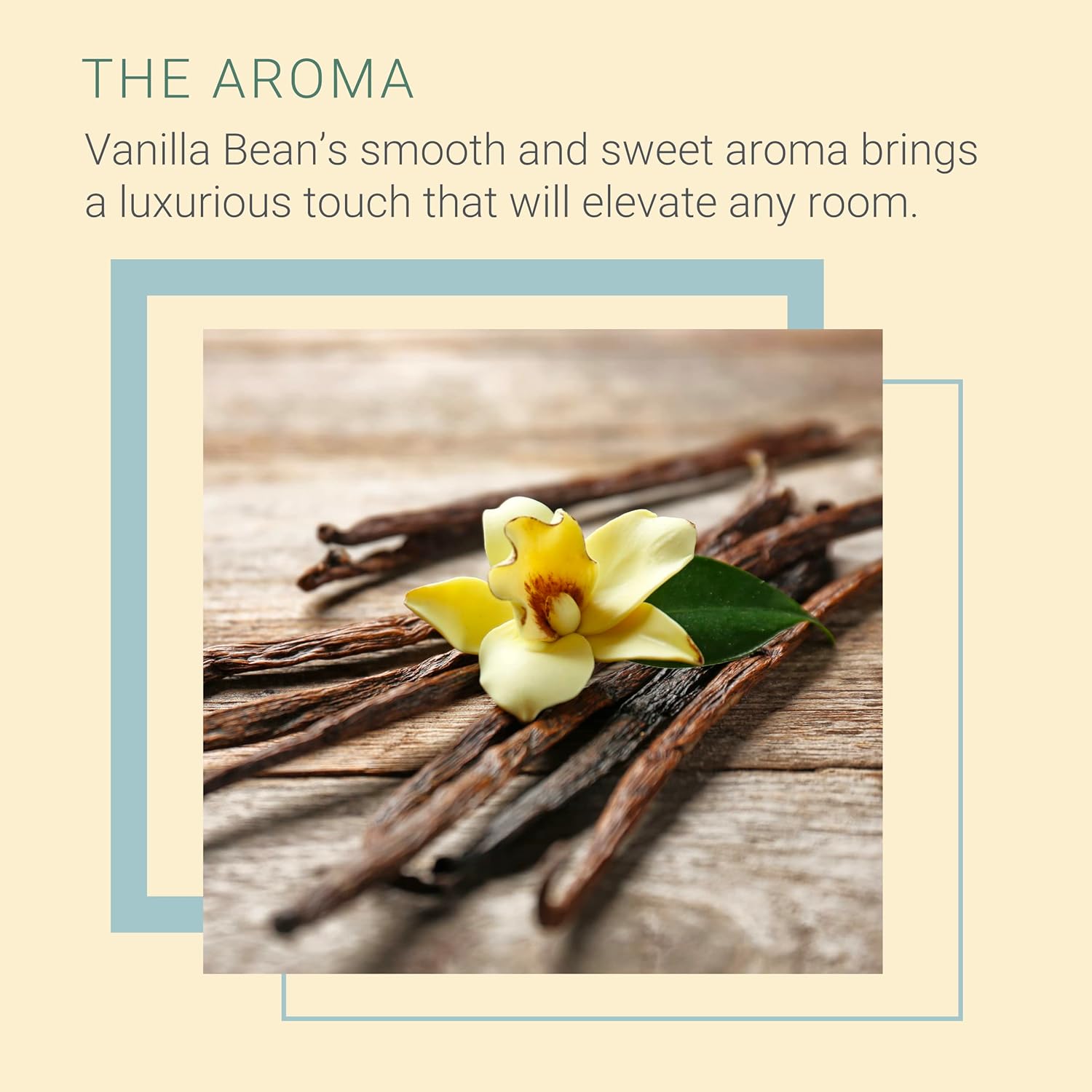 SpaRoom Reed Diffuser Oil Refill Vanilla Bean Scent