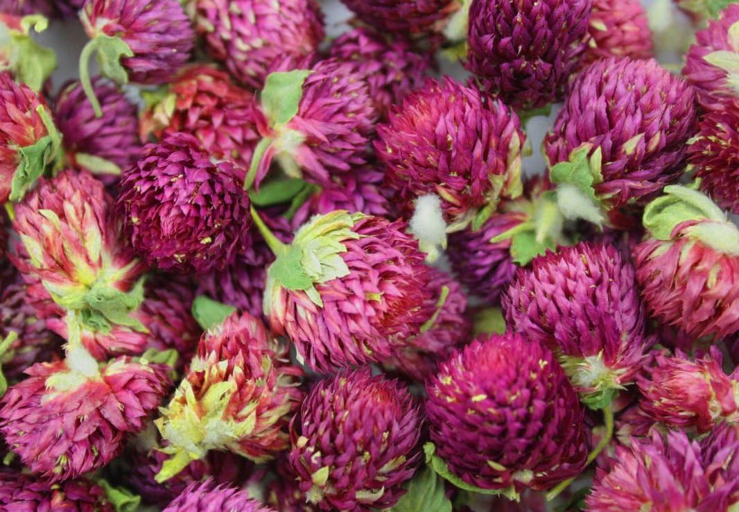 TooGet Dried Gomphrena Globosa Flowers 4 Oz Natural Globe Amaranth