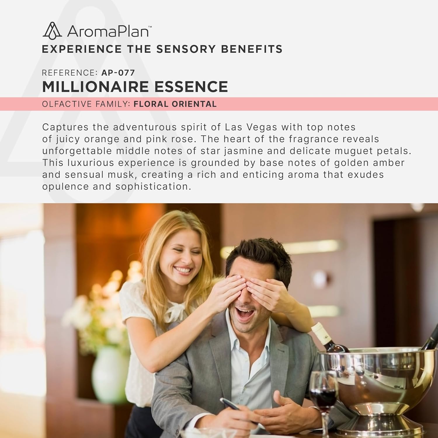 AROMAPLAN Hotel Scents Millionaire Essence 5 Fl Oz Luxury Aroma Diffuser Oil