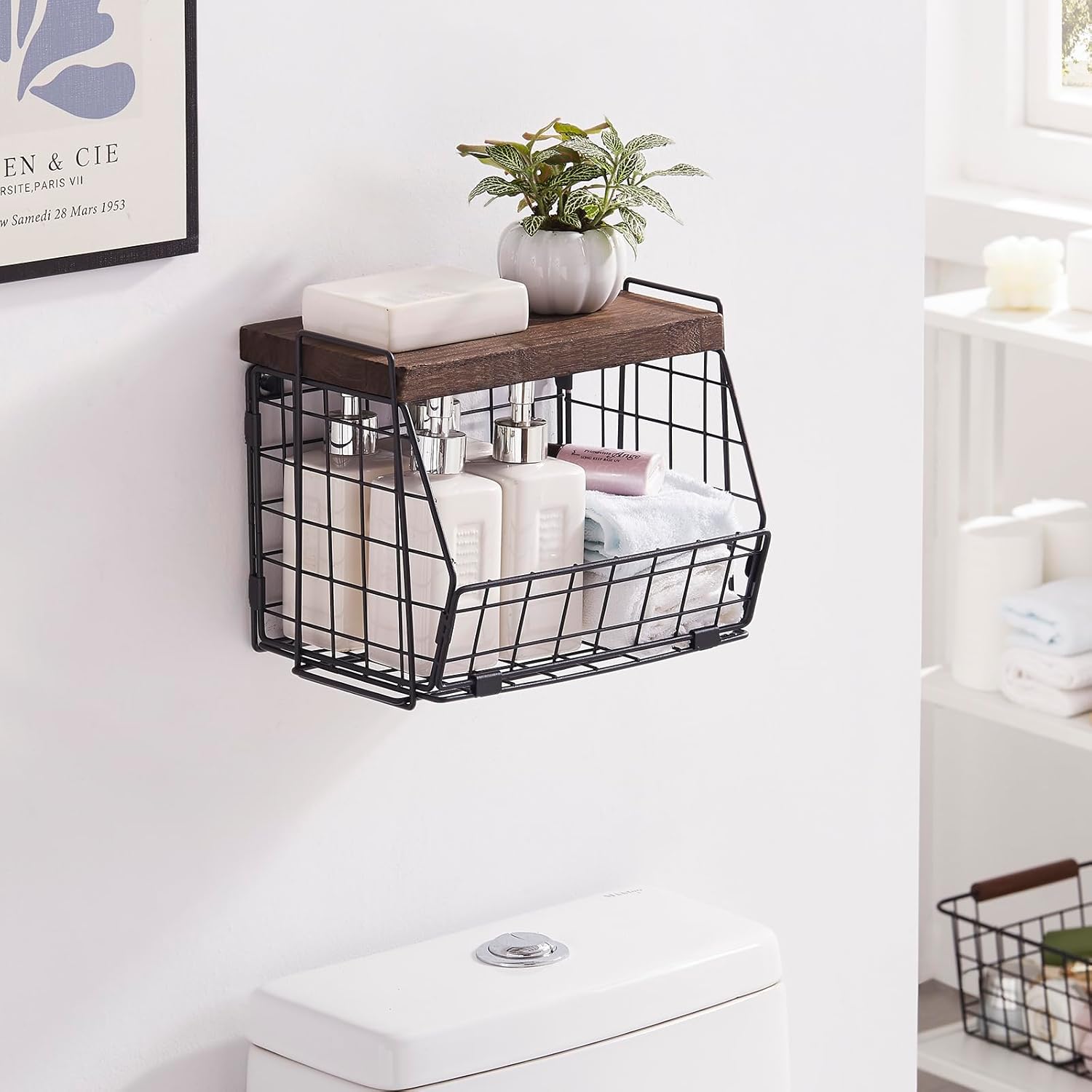 LIGHT DUST Wall Storage Hanging Baskets 2 Pack