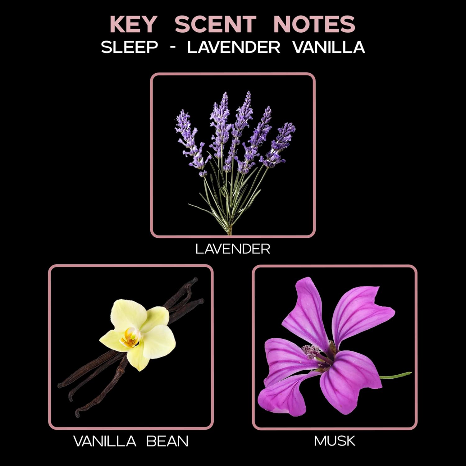 LOVSPA Lavender Vanilla Diffuser Set