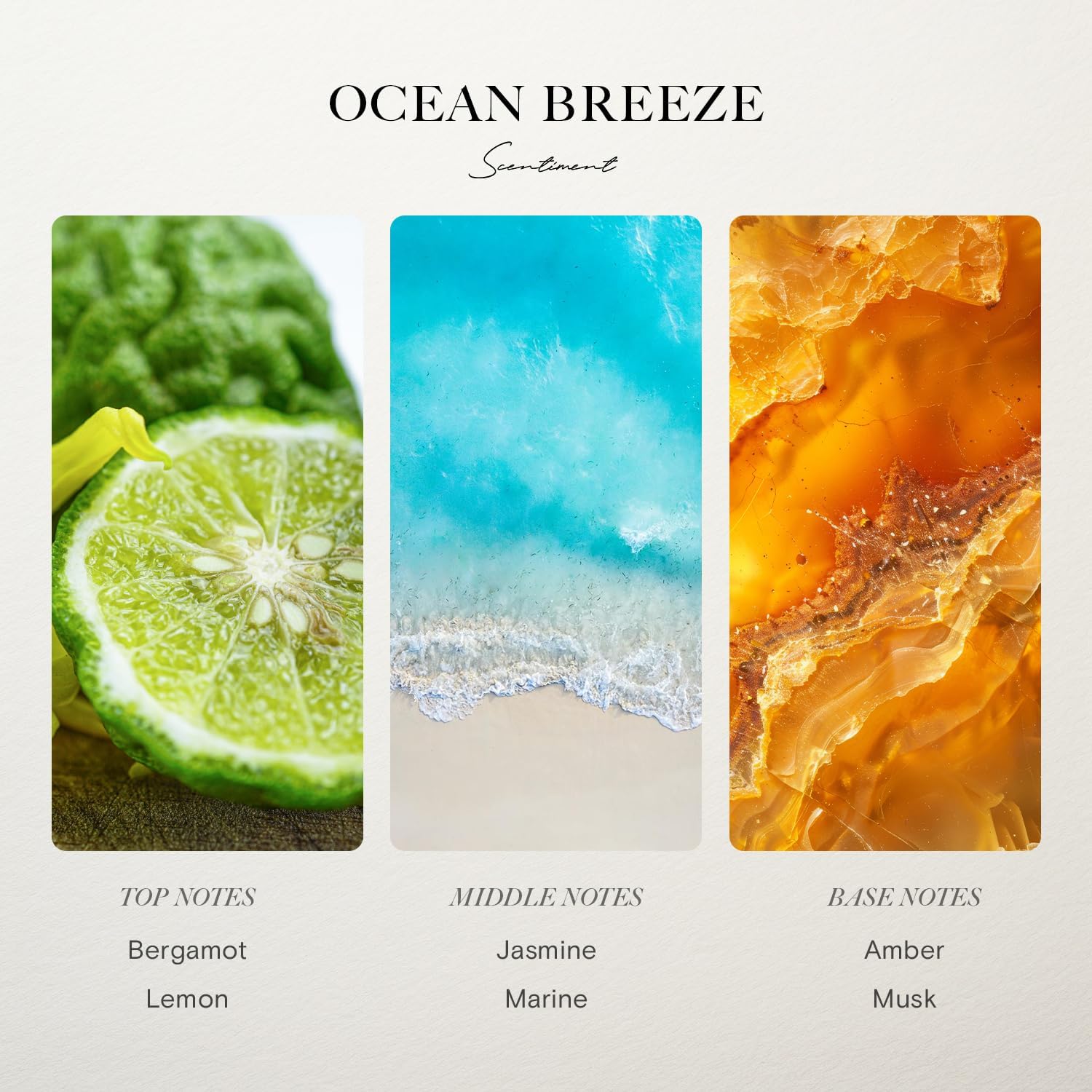 Ocean Breeze Diffuser Oil Inspired by Ritz-Carlton Luxury