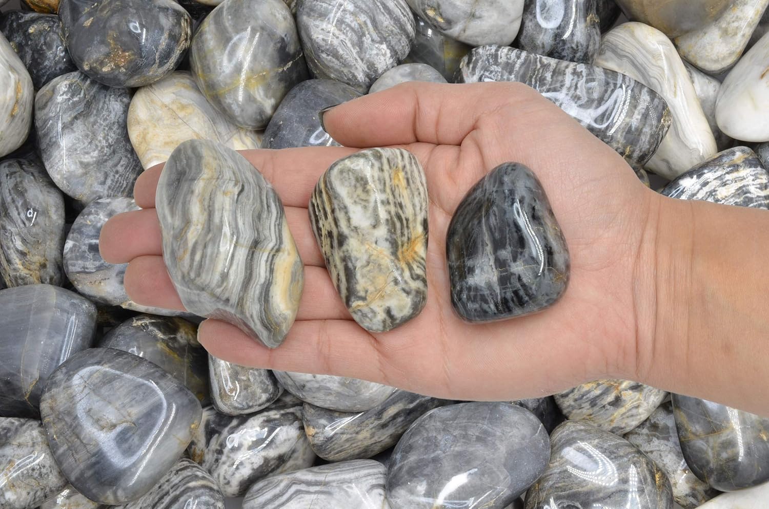 Fantasia 2 lbs Tumbled Black Cream Chert Stones for Indoor Fountain