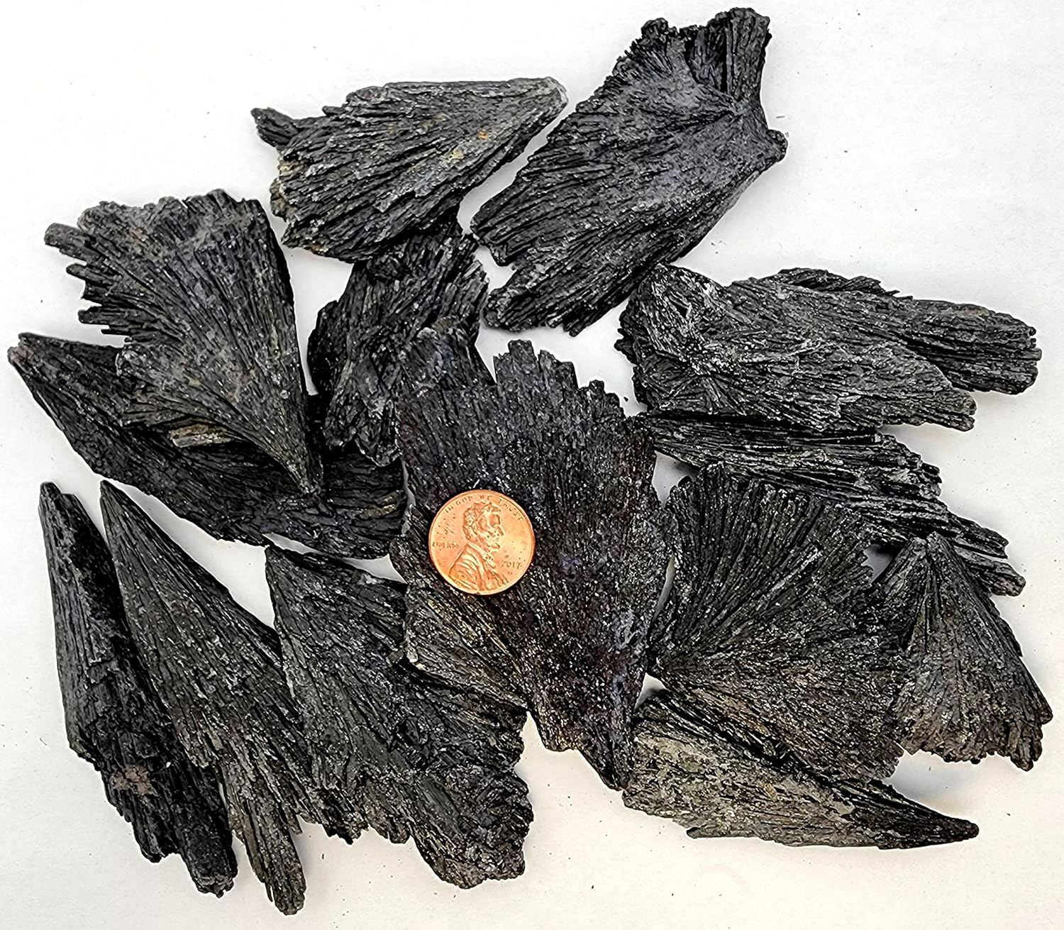 Emovendo Black Kyanite Blades - Fans - 2 to 35 Inch Approx - Bulk Lot