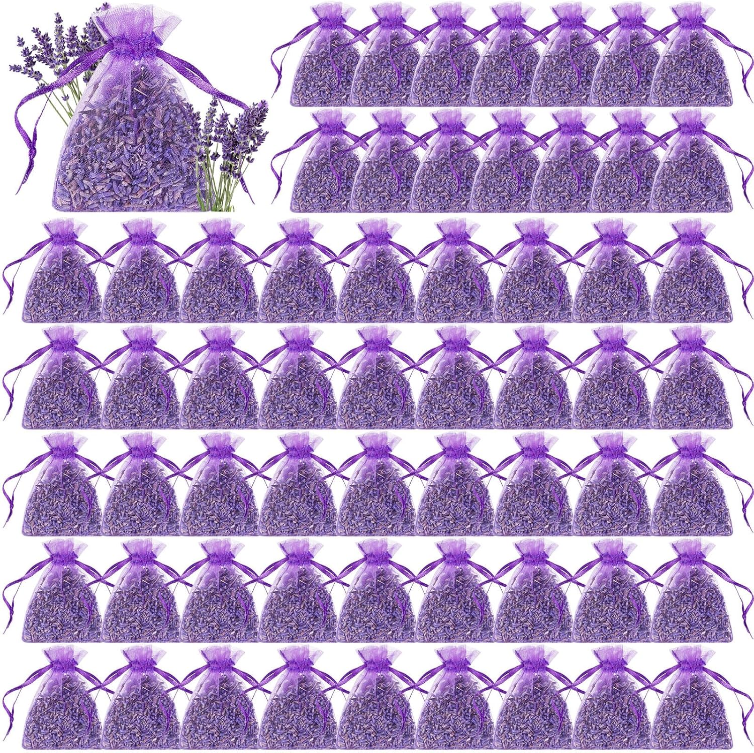 Reginary 60 Pack Lavender Sachets for Home Fragrance and Storage